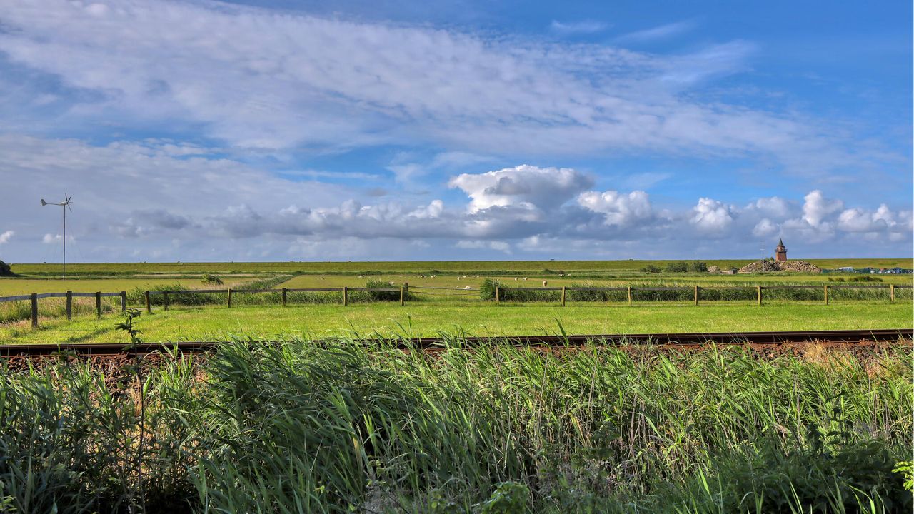 view-from-room view-from-room